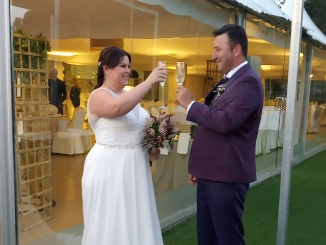 La boda de Vicent y Silvia  en Albalat Dels Tarongers, Valencia 4