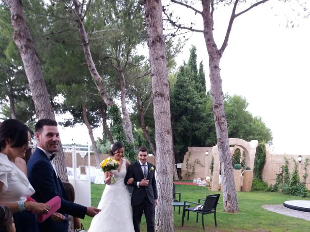 La boda de Ivan y Alejandra  en Pedrola, Zaragoza 4