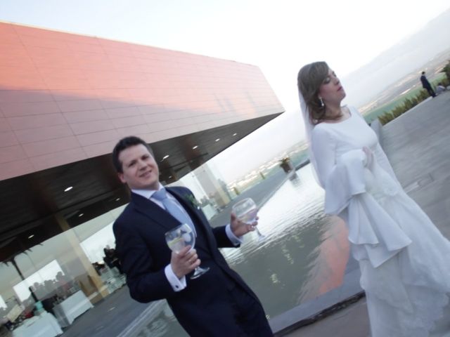 La boda de Daniel y Marina en Jerez De La Frontera, Cádiz 16