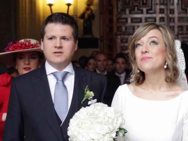 La boda de Daniel y Marina en Jerez De La Frontera, Cádiz 20