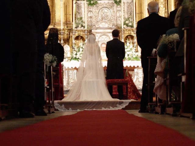 La boda de Daniel y Marina en Jerez De La Frontera, Cádiz 21