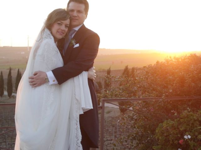 La boda de Daniel y Marina en Jerez De La Frontera, Cádiz 26