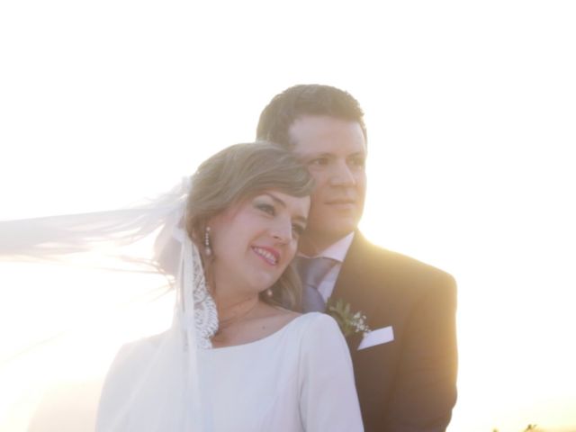 La boda de Daniel y Marina en Jerez De La Frontera, Cádiz 27