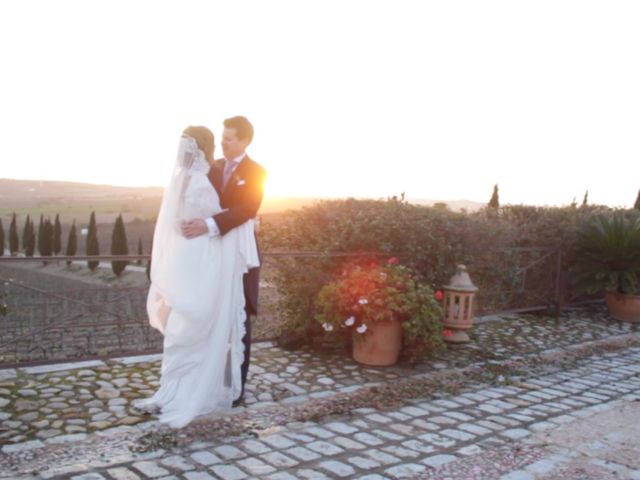 La boda de Daniel y Marina en Jerez De La Frontera, Cádiz 29