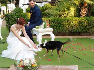 La boda de Carmen  y Javi