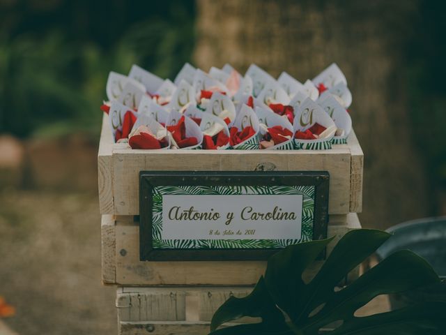 La boda de Antonio y Carolina en Elx/elche, Alicante 47