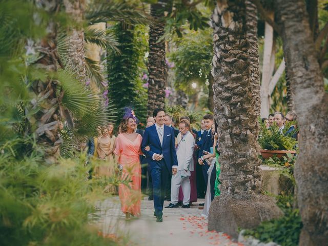 La boda de Antonio y Carolina en Elx/elche, Alicante 50