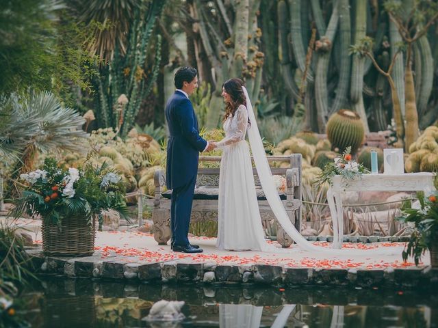 La boda de Antonio y Carolina en Elx/elche, Alicante 64