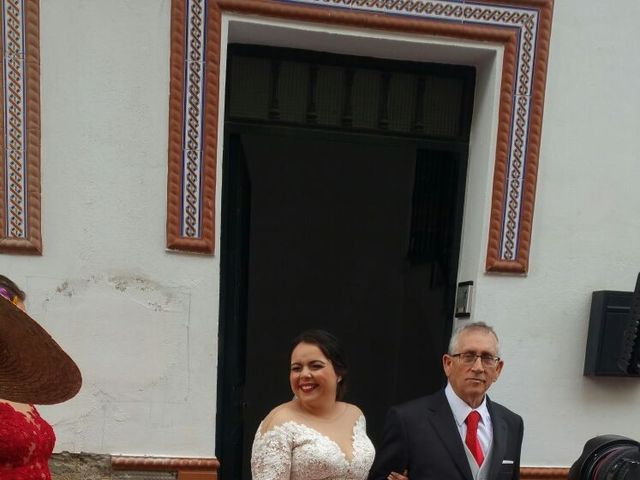 La boda de Migue y Victoria en Alcala Del Rio, Sevilla 4