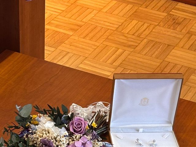 La boda de Alex y Irene en Madrid, Madrid 17