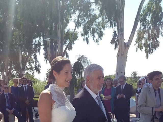La boda de Elewout y Cristina en El Palmar, Valencia 5