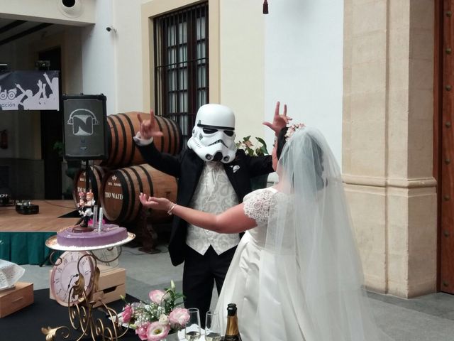 La boda de Manu y Anabel en Jerez De La Frontera, Cádiz 2