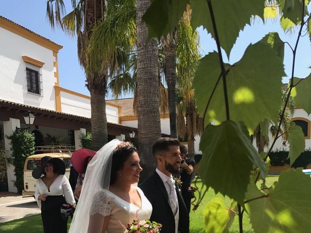 La boda de Manu y Anabel en Jerez De La Frontera, Cádiz 6