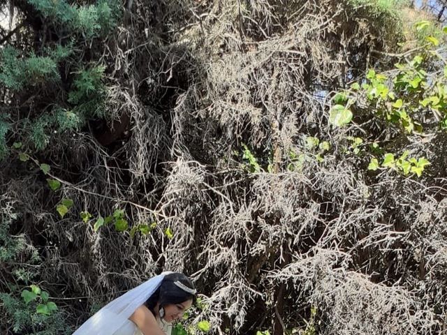 La boda de Florin y Andreeq en Arganda Del Rey, Madrid 4