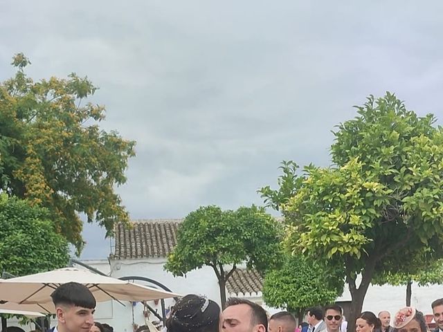 La boda de Almudena  y David en Espartinas, Sevilla 3