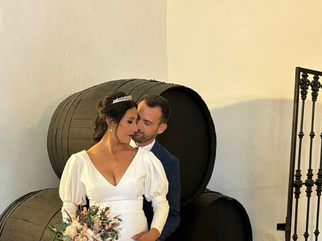 La boda de Almudena  y David en Espartinas, Sevilla 6