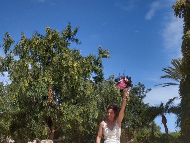 La boda de Jonás y Belén  en Elx/elche, Alicante 6
