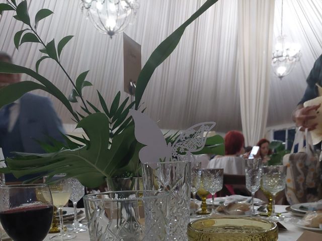 La boda de Sergio y River en Los Barrios, Cádiz 14