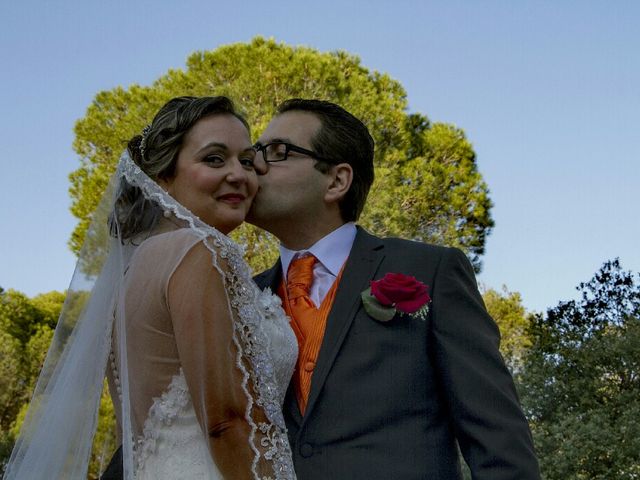 La boda de David y Maria en Almorox, Toledo 17