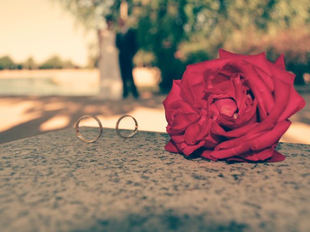 La boda de Miguel y Amanda en Illescas, Toledo 2