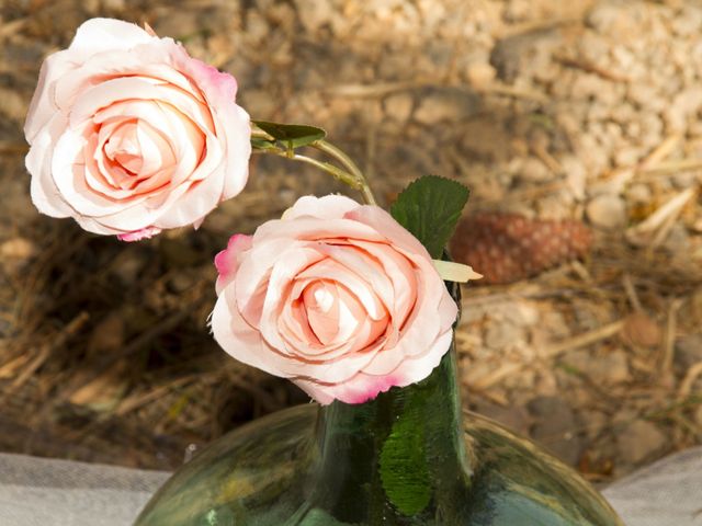 La boda de Jose Carlos y Inma en San Javier, Murcia 35