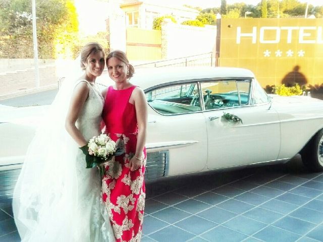 La boda de Alberto y Marisol en Guardamar Del Segura, Alicante 13