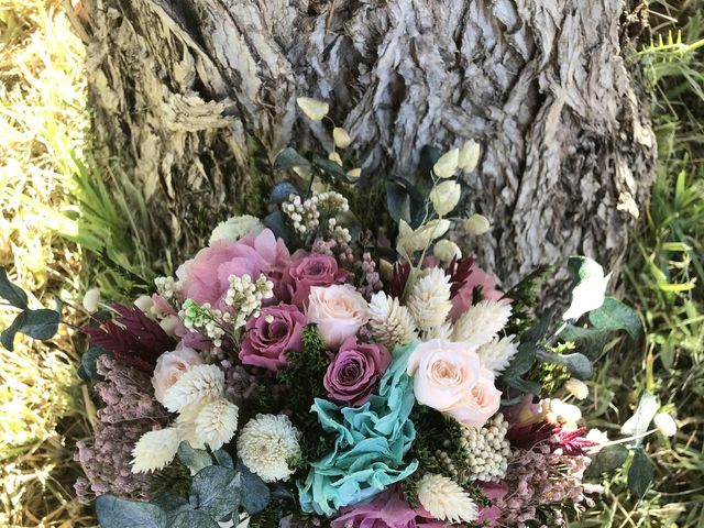 La boda de Jose Carlos  y Beatriz en Sant Vicent Del Raspeig/san Vicente Del, Alicante 2