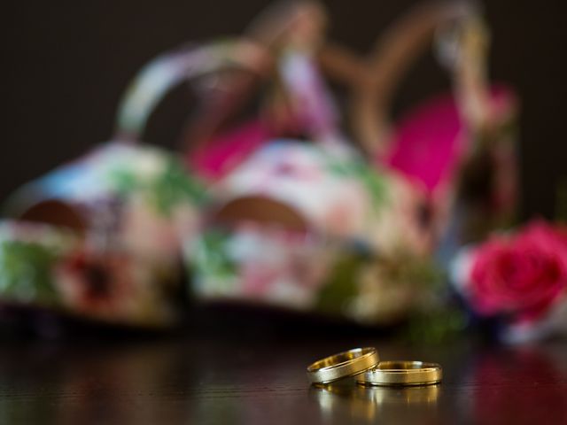 La boda de Alex y Irene en Guadarrama, Madrid 7