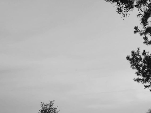 La boda de Ángel  y Maria en Girona, Girona 8