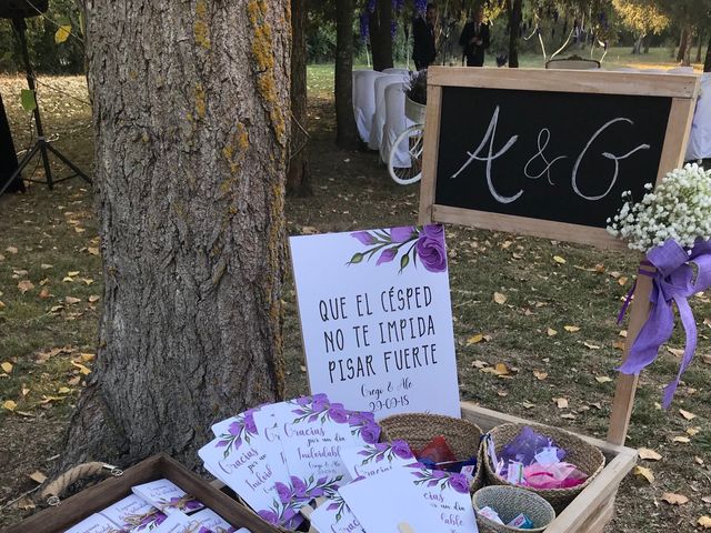 La boda de Grego y Alejandra en Llagostera, Girona 7