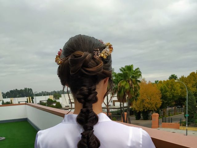 La boda de Luis y Raquel en Sevilla, Sevilla 5