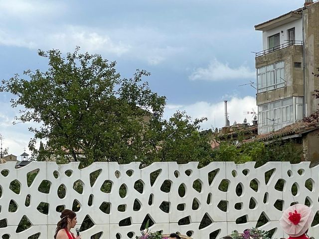 La boda de Eduardo y Beatriz en Almazan, Soria 4