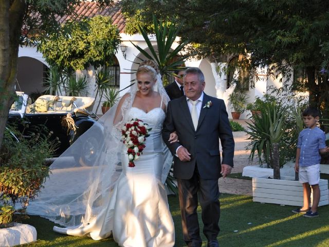 La boda de David y Vanessa en Sevilla, Sevilla 22