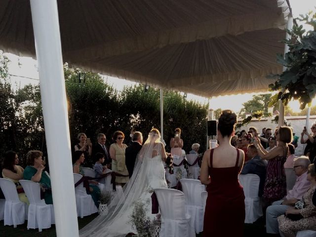 La boda de David y Vanessa en Sevilla, Sevilla 30