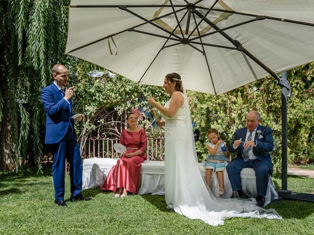 La boda de Cesar y Beatriz en Aranjuez, Madrid 23