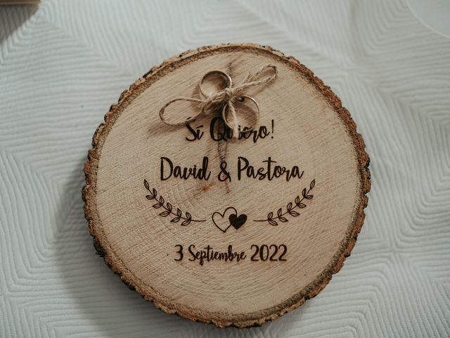 La boda de Pastora y David en Conil De La Frontera, Cádiz 15