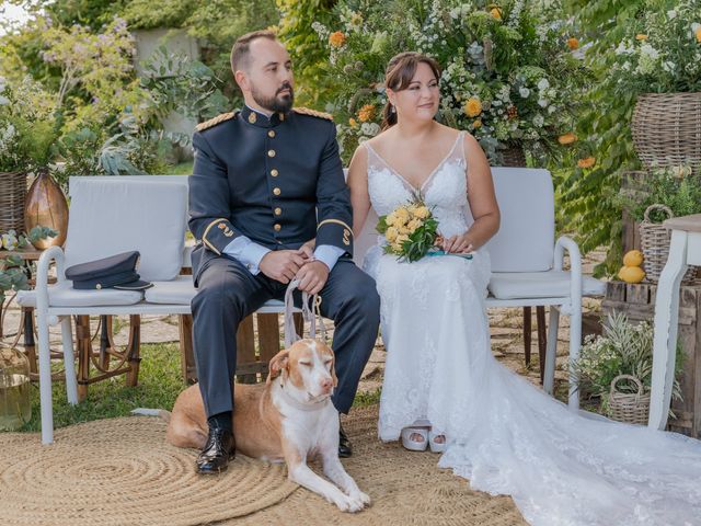 La boda de Patricia y Daniel en Alacant/alicante, Alicante 227