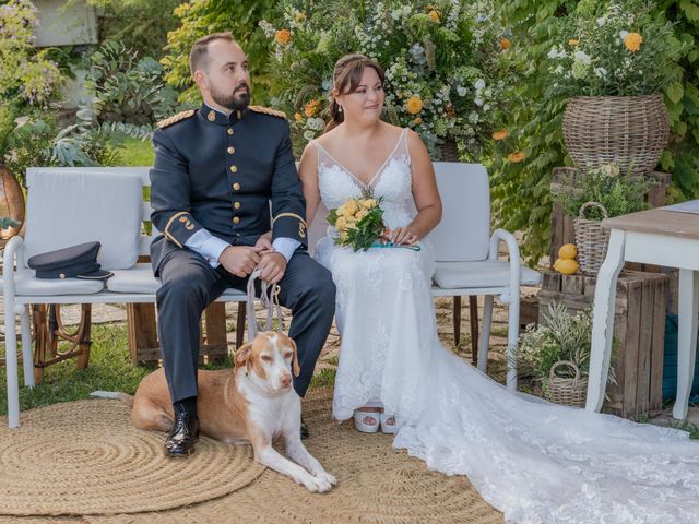 La boda de Patricia y Daniel en Alacant/alicante, Alicante 228