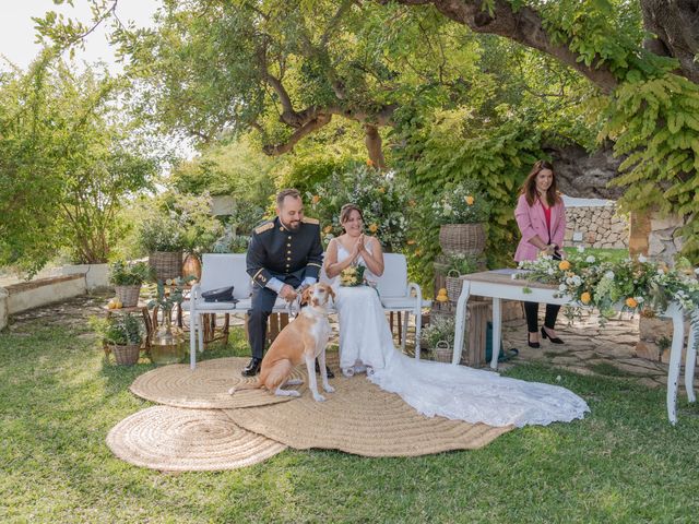 La boda de Patricia y Daniel en Alacant/alicante, Alicante 237