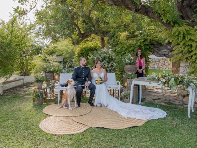 La boda de Patricia y Daniel en Alacant/alicante, Alicante 243