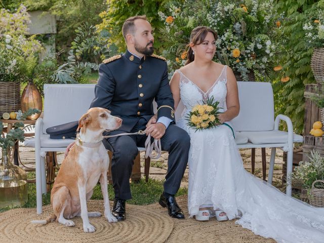 La boda de Patricia y Daniel en Alacant/alicante, Alicante 244