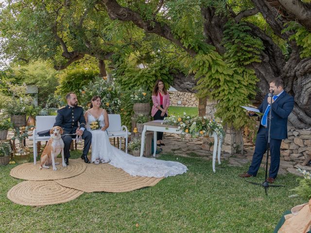 La boda de Patricia y Daniel en Alacant/alicante, Alicante 247