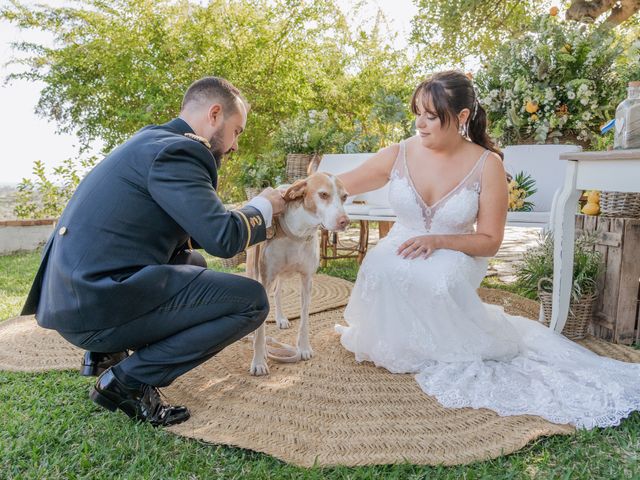 La boda de Patricia y Daniel en Alacant/alicante, Alicante 281