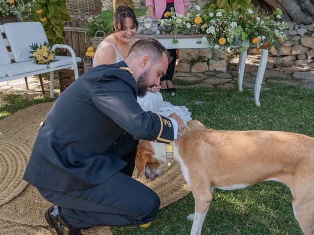 La boda de Patricia y Daniel en Alacant/alicante, Alicante 291