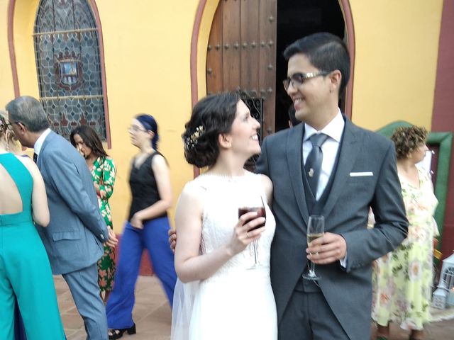 La boda de Julio y Laura en Alcala De Guadaira, Sevilla 4