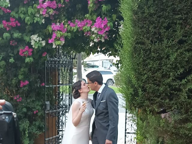 La boda de Julio y Laura en Alcala De Guadaira, Sevilla 5