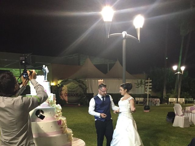 La boda de Daniel y Beatriz en Córdoba, Córdoba 13