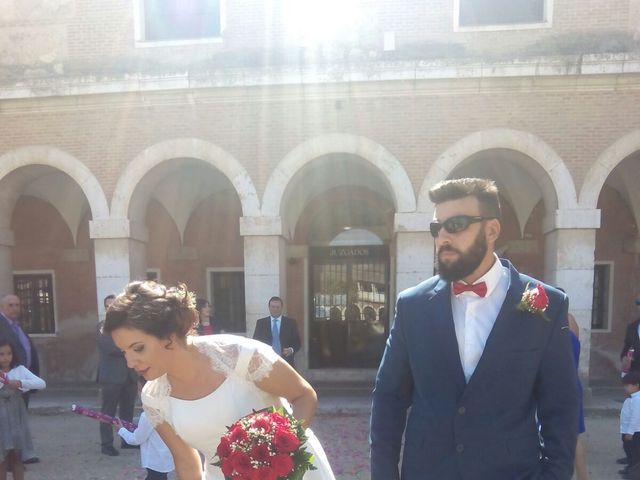 La boda de Javier y Eva en Aranjuez, Madrid 5