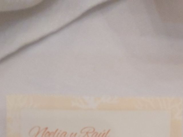 La boda de Raul y Noelia en Puertollano, Ciudad Real 4