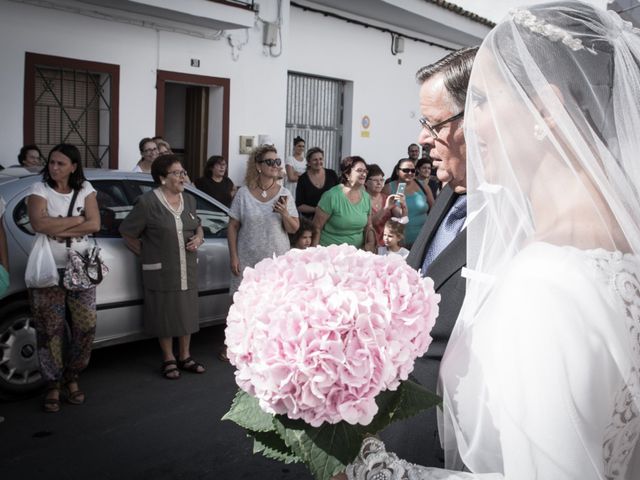 La boda de Ana Belen y Paxit en Los Palacios Y Villafranca, Sevilla 18